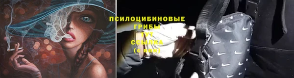 таблы Арсеньев