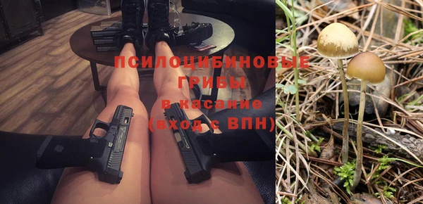 дживик Аркадак