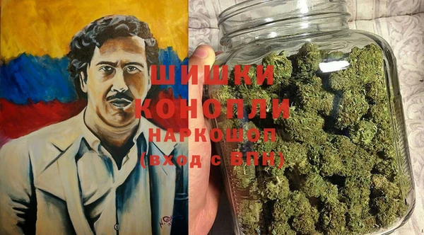 дживик Аркадак