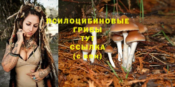MDMA Армянск