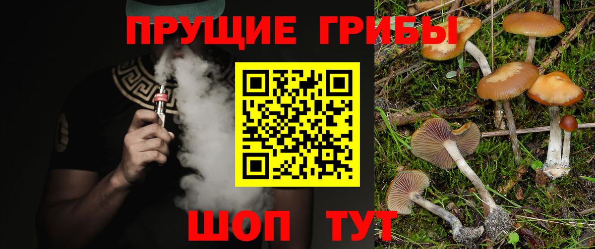 Псилоцибиновые грибы Cubensis Новодвинск