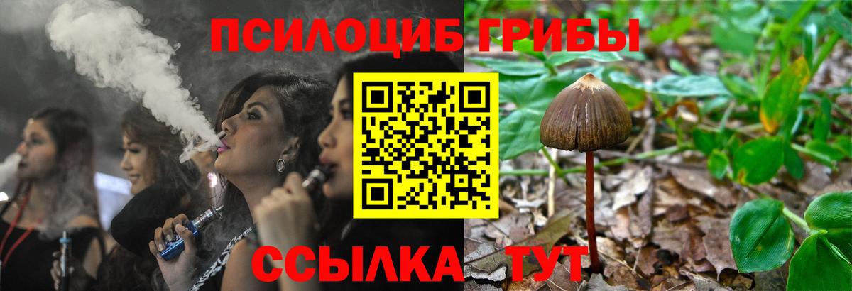 купить  сайты  Галлюциногенные грибы Cubensis  Вход с VPN  Новодвинск 